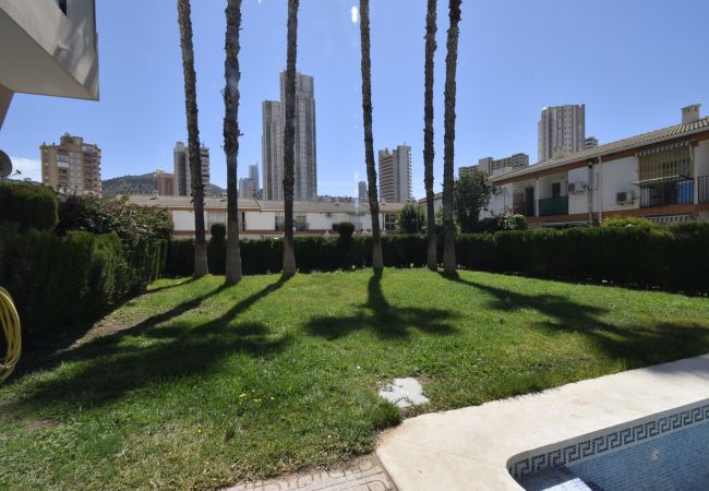 Appartement à Benidorm - MARISCAL 6 (1 CHAMBRE) Appartement à Benidorm - MARISCAL 6 (1 CHAMBRE)