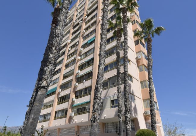 Appartement à Benidorm - MARISCAL 6 (1 CHAMBRE) Appartement à Benidorm - MARISCAL 6 (1 CHAMBRE)