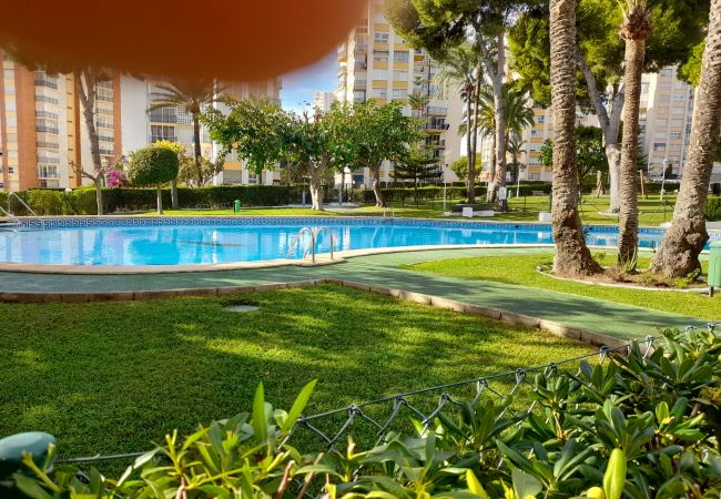 Appartement à Benidorm - URBANIZACION MIRAMAR (1 CHAMBRE) Appartement à Benidorm - URBANIZACION MIRAMAR (1 CHAMBRE)