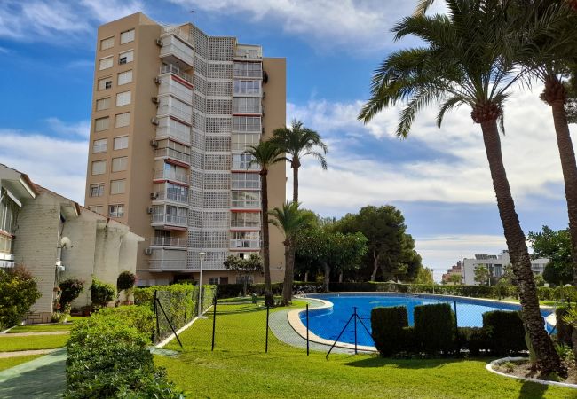 Appartement à Benidorm - URBANIZACION MIRAMAR (1 CHAMBRE) Appartement à Benidorm - URBANIZACION MIRAMAR (1 CHAMBRE)