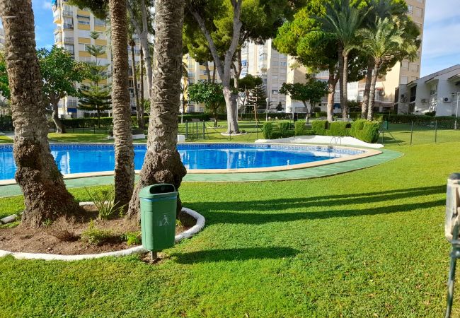 Appartement à Benidorm - URBANIZACION MIRAMAR (1 CHAMBRE) Appartement à Benidorm - URBANIZACION MIRAMAR (1 CHAMBRE)