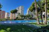Appartement à Benidorm - URBANIZACION MIRAMAR (1 CHAMBRE) Appartement à Benidorm - URBANIZACION MIRAMAR (1 CHAMBRE)