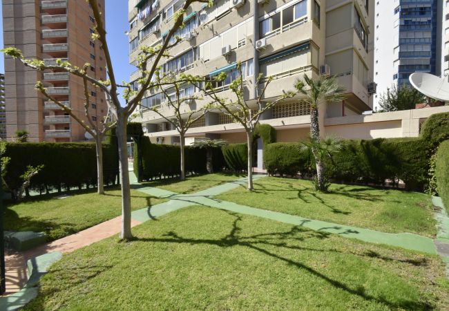 Appartement à Benidorm - MARISCAL 4 (1 CHAMBRE) Appartement à Benidorm - MARISCAL 4 (1 CHAMBRE)