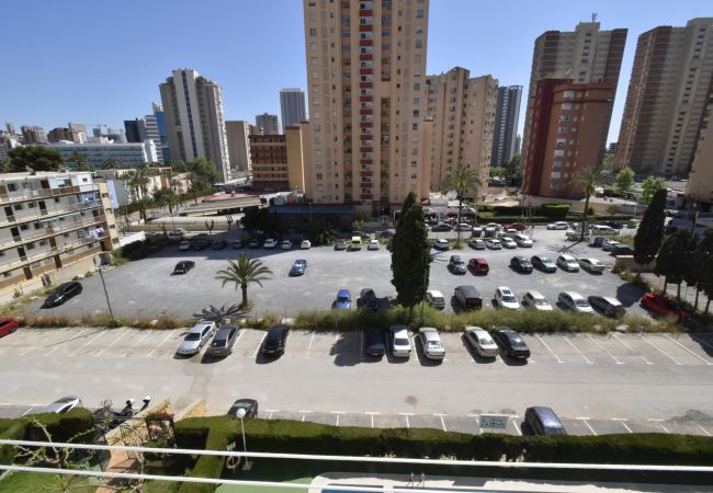 Appartement à Benidorm - MARISCAL 4 (1 CHAMBRE) Appartement à Benidorm - MARISCAL 4 (1 CHAMBRE)