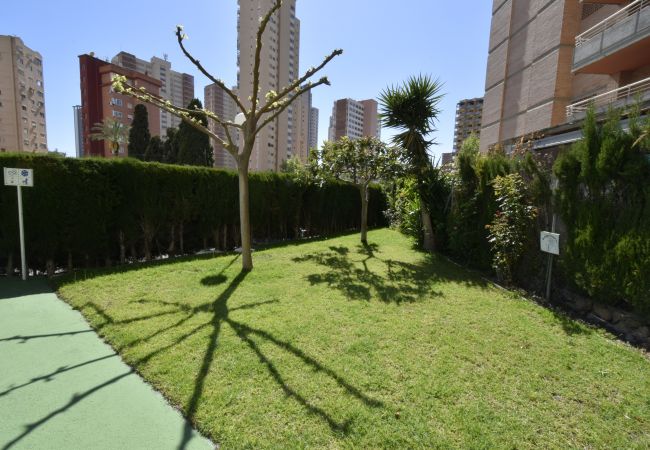 Appartement à Benidorm - MARISCAL 4 (1 CHAMBRE) Appartement à Benidorm - MARISCAL 4 (1 CHAMBRE)