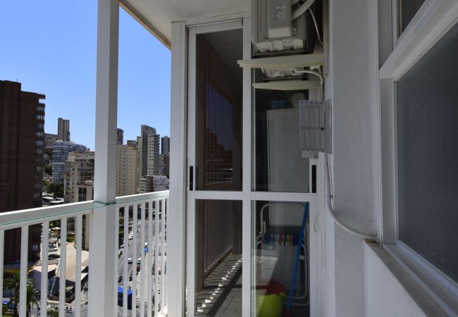 Appartement à Benidorm - ALBATROS (1 CHAMBRE) Appartement à Benidorm - ALBATROS (1 CHAMBRE)