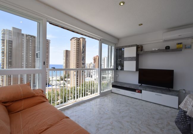 Appartement à Benidorm - ALBATROS (1 CHAMBRE) Appartement à Benidorm - ALBATROS (1 CHAMBRE)