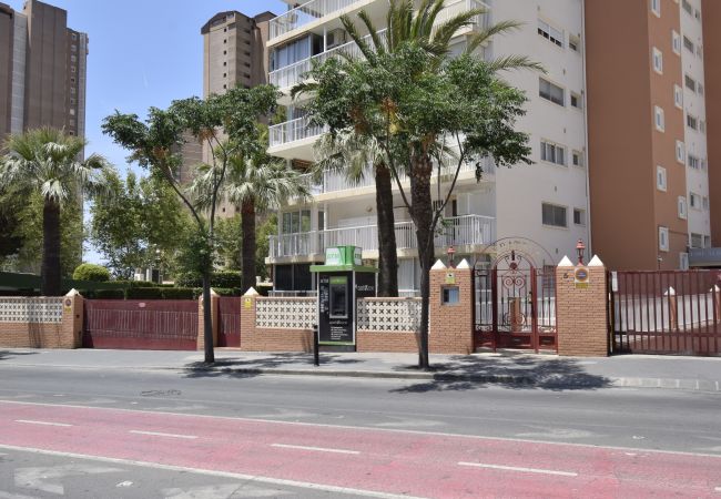 Appartement à Benidorm - ALBATROS (1 CHAMBRE) Appartement à Benidorm - ALBATROS (1 CHAMBRE)