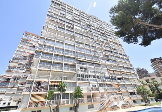 Appartement à Benidorm - ALBATROS (1 CHAMBRE) Appartement à Benidorm - ALBATROS (1 CHAMBRE)