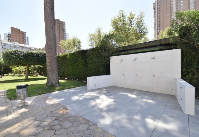 Appartement à Benidorm - ALBATROS (1 CHAMBRE) Appartement à Benidorm - ALBATROS (1 CHAMBRE)