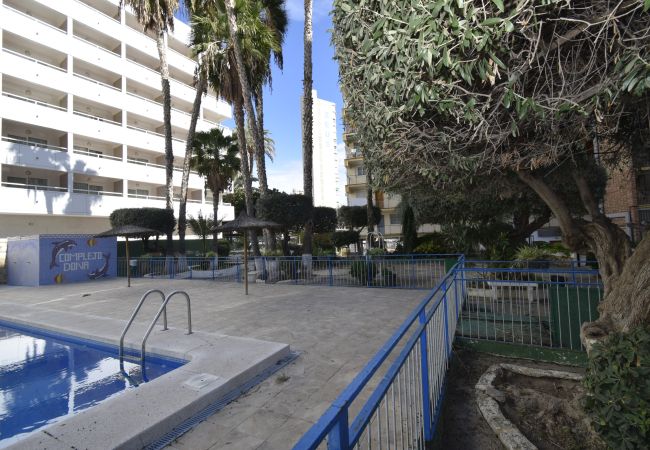 Appartement à Benidorm - DONA (2 CHAMBRES) Appartement à Benidorm - DONA (2 CHAMBRES)