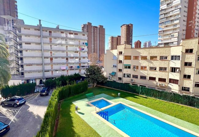  à Benidorm - DON PACO (2 CHAMBRES) - 4 personnes