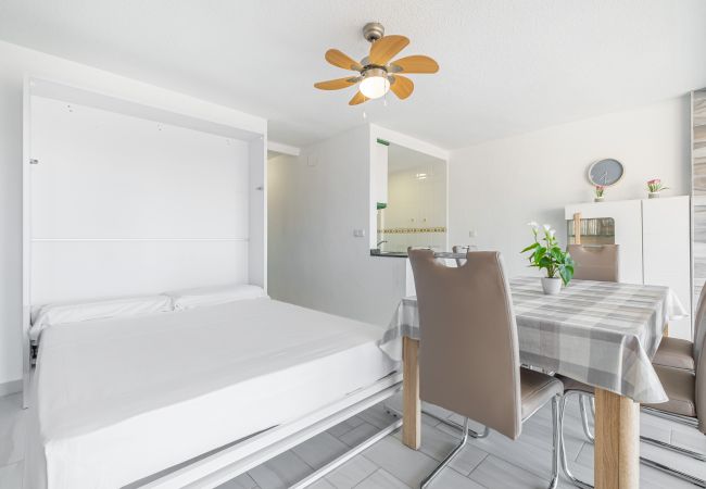 Appartement à Benidorm - LOIXANA 10-8 (1 CHAMBRE) Levante Beach Appartement à Benidorm - LOIXANA 10-8 (1 CHAMBRE) Levante Beach