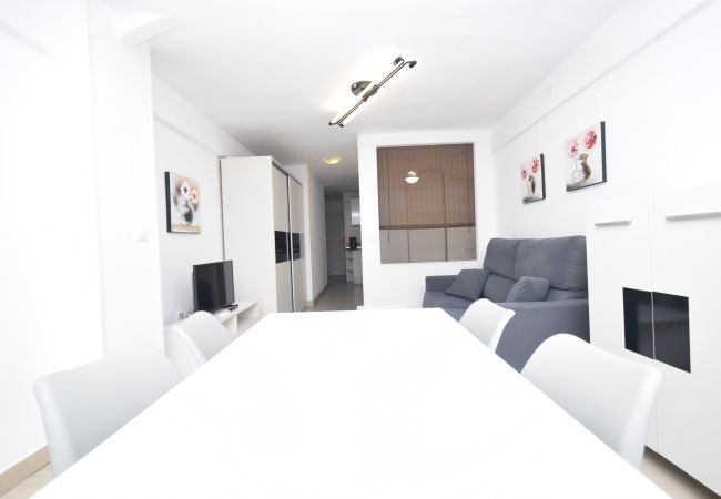 Studio à Benidorm - CABALLOS 2D (STUDIO) Studio à Benidorm - CABALLOS 2D (STUDIO)