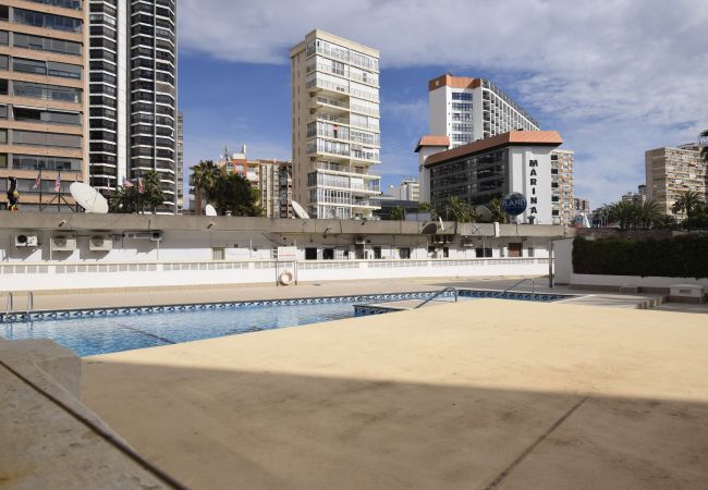 Studio à Benidorm - CABALLOS 2D (STUDIO) Studio à Benidorm - CABALLOS 2D (STUDIO)