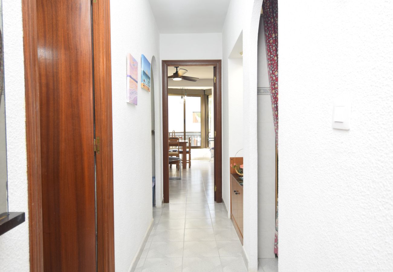 Appartement à Benidorm - PAX (1 CHAMBRE)