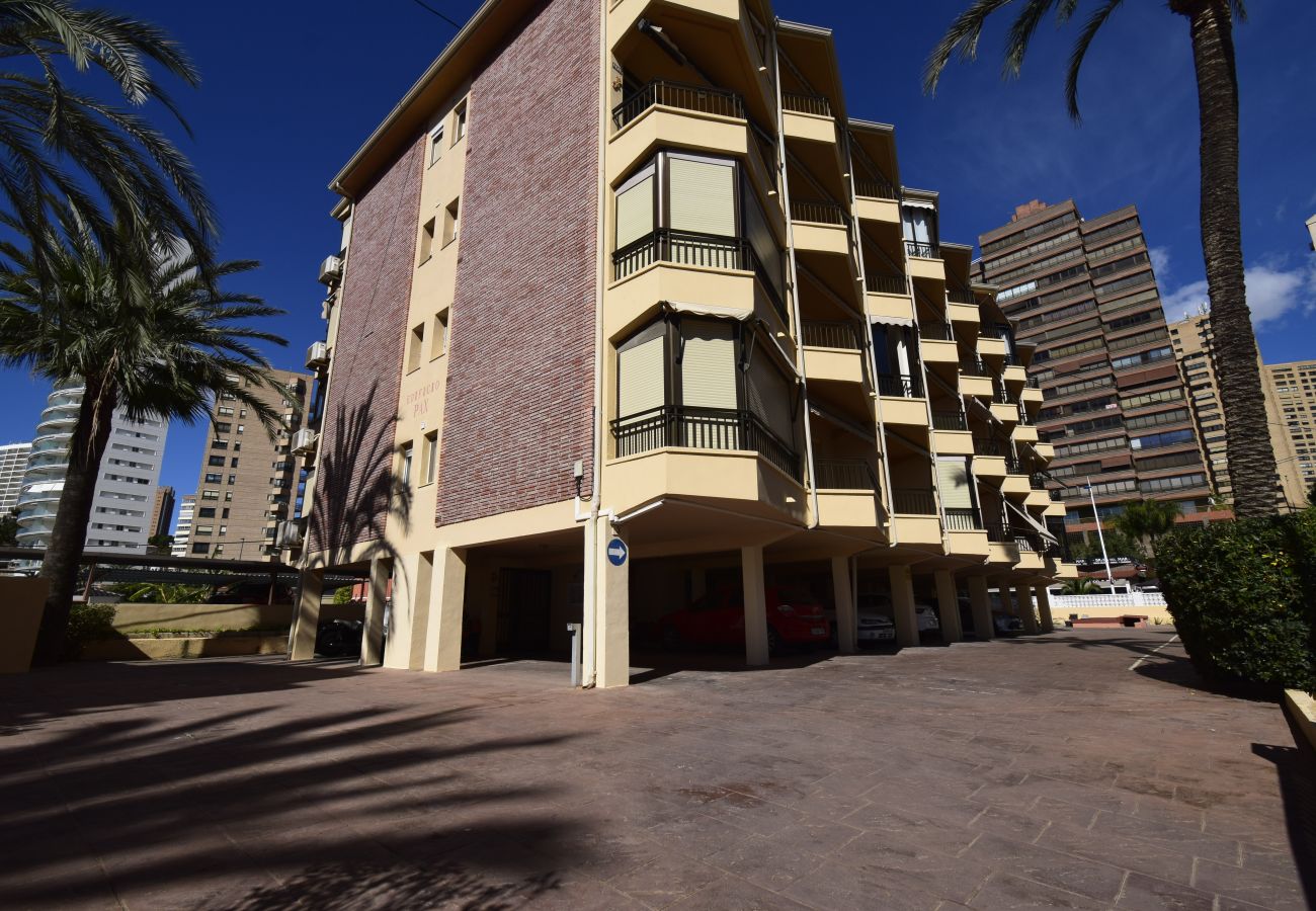 Appartement à Benidorm - PAX (1 CHAMBRE)