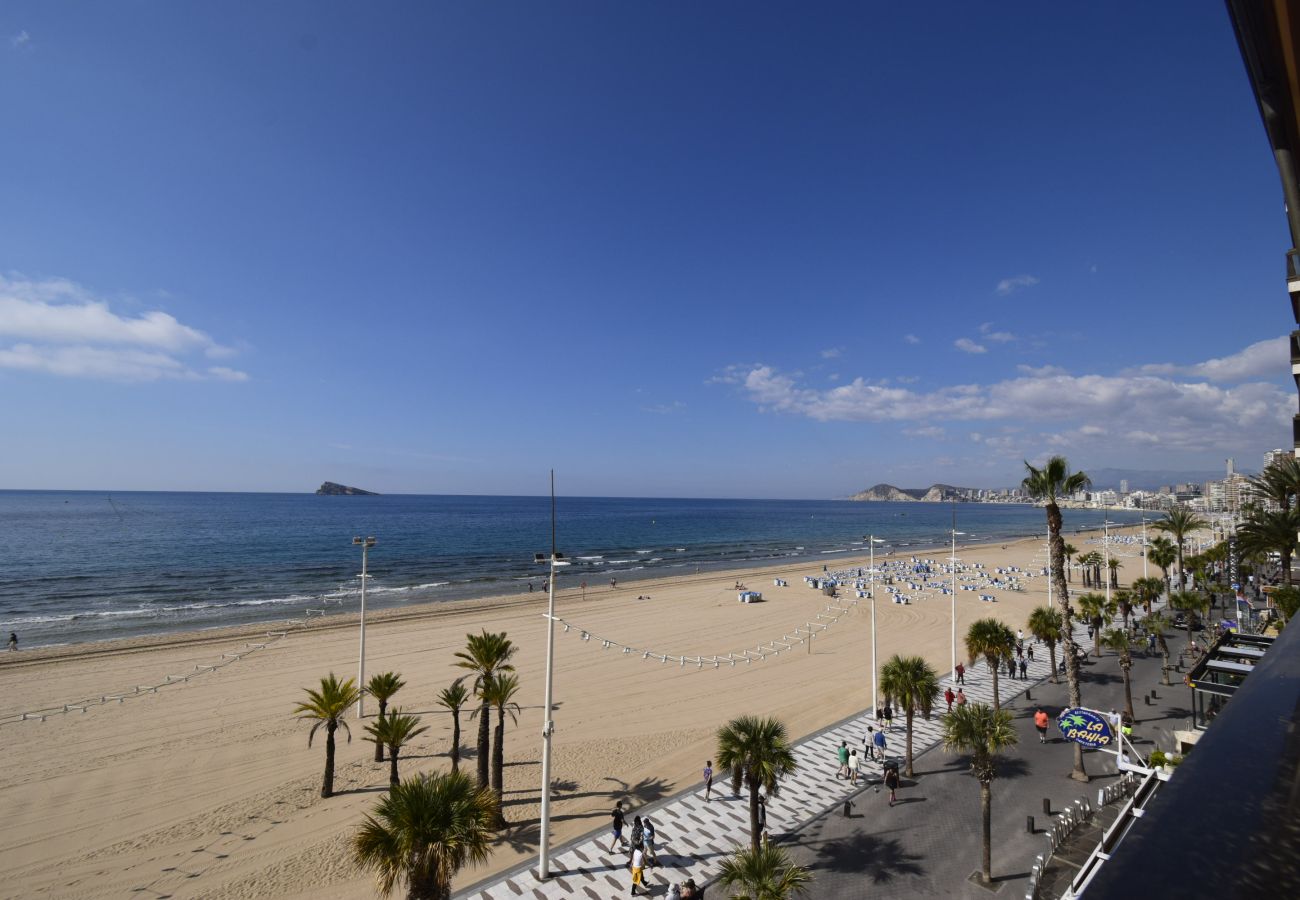Appartement à Benidorm - CACHIRULO 3B (1  CHAMBRE)