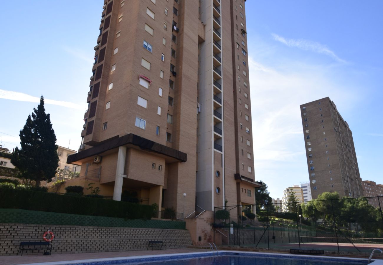 Appartement à Benidorm - COBLANCA 29 16-5