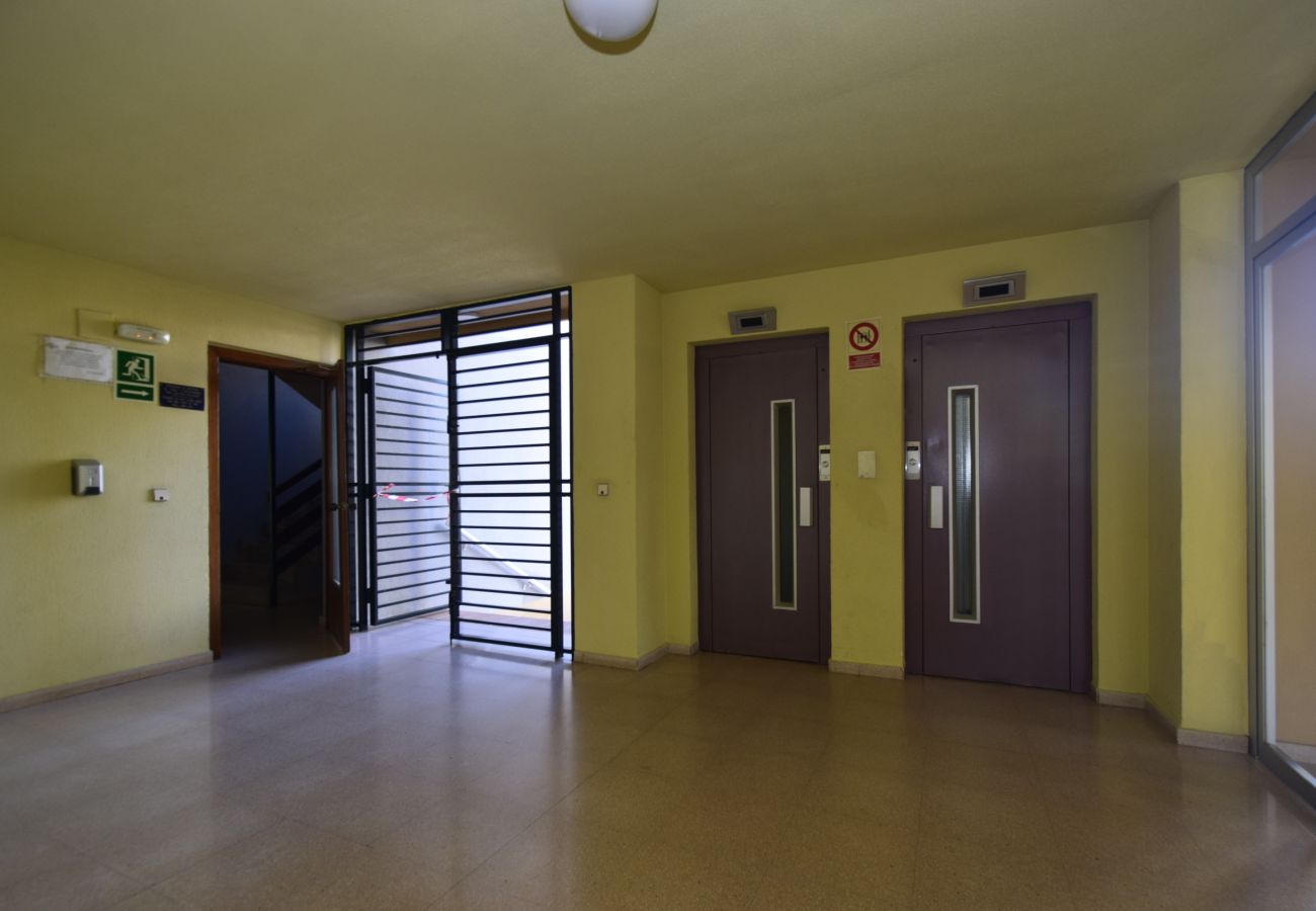 Appartement à Benidorm - COBLANCA 29 16-5