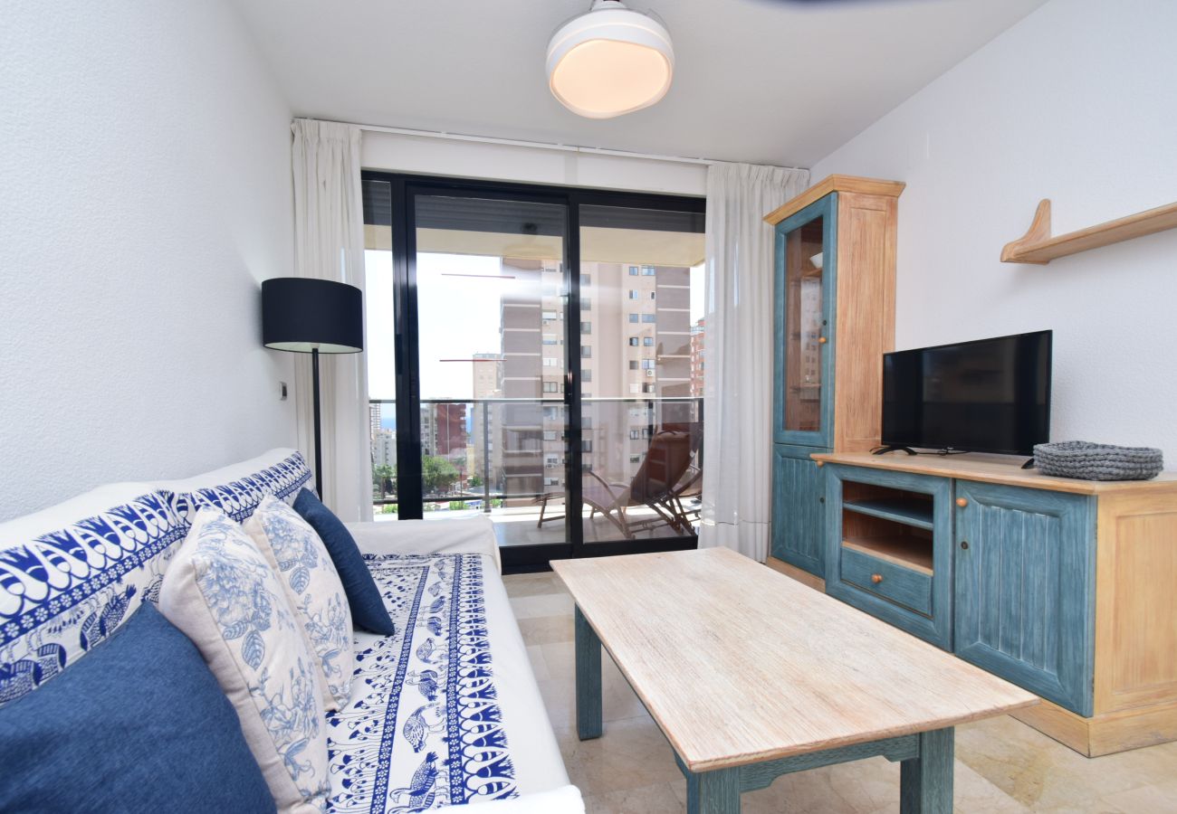 Appartement à Benidorm - TORRE IPANEMA 6A - 1 ROOM