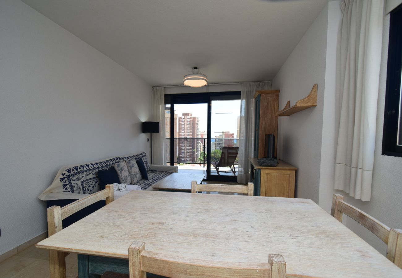 Appartement à Benidorm - TORRE IPANEMA 6A - 1 ROOM