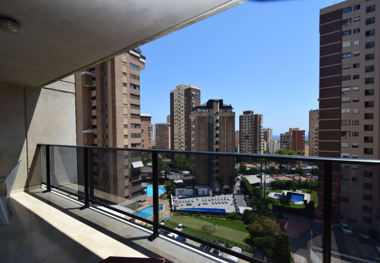Appartement à Benidorm - TORRE IPANEMA 6A - 1 ROOM