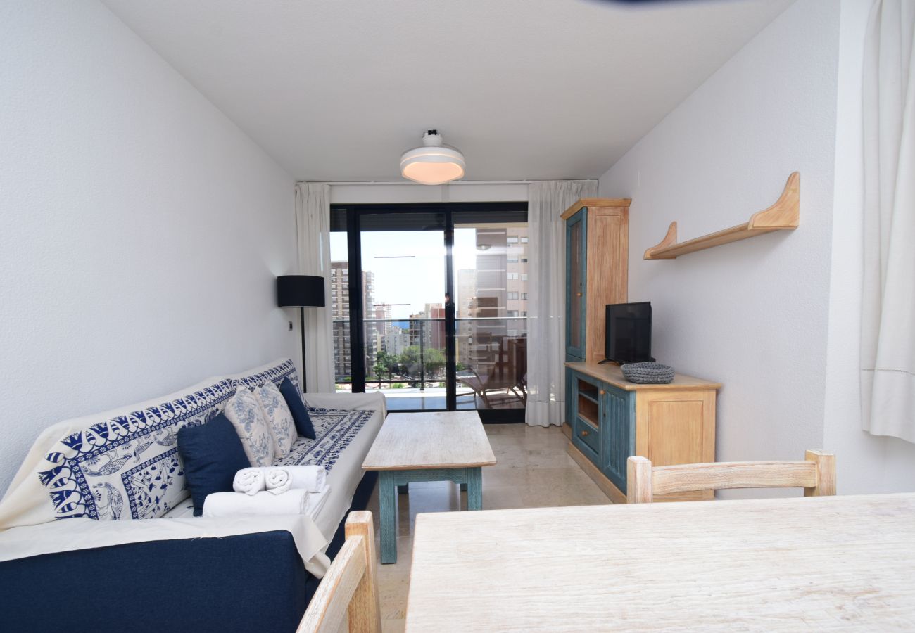 Appartement à Benidorm - TORRE IPANEMA 6A - 1 ROOM