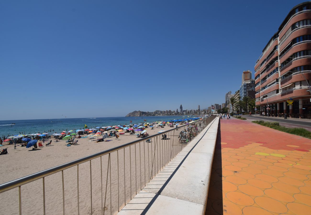 Studio à Benidorm - MARCONI (STUDIO)