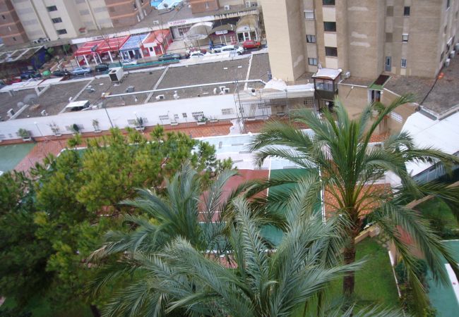 Appartamento a Benidorm - ALHAMBRA (1 CAMERA) Appartamento a Benidorm - ALHAMBRA (1 CAMERA)