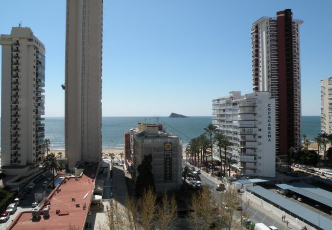 Studio a Benidorm - DUCADO (STUDIO) BENIDORM