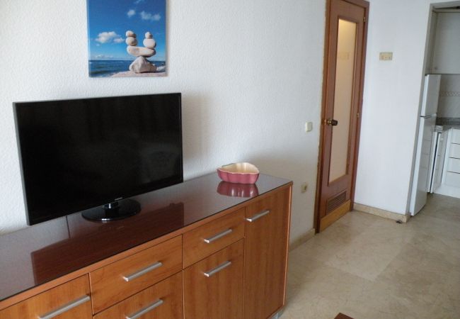 Appartamento a Benidorm - TORRE LEVANTE (1 CAMERA) Appartamento a Benidorm - TORRE LEVANTE (1 CAMERA)