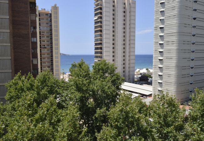 Appartamento a Benidorm - PRINCIPADO MEDITERRANEO (1 BEDROOM) Appartamento a Benidorm - PRINCIPADO MEDITERRANEO (1 BEDROOM)