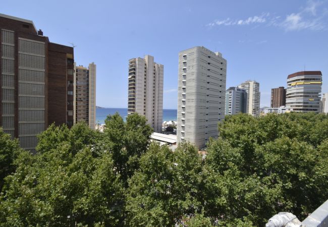 Appartamento a Benidorm - PRINCIPADO MEDITERRANEO (1 BEDROOM) Appartamento a Benidorm - PRINCIPADO MEDITERRANEO (1 BEDROOM)