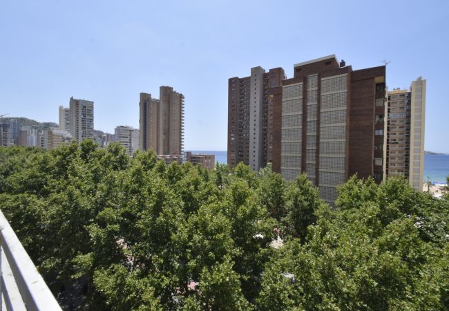 Appartamento a Benidorm - PRINCIPADO MEDITERRANEO (1 BEDROOM) Appartamento a Benidorm - PRINCIPADO MEDITERRANEO (1 BEDROOM)