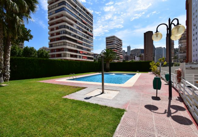 Appartamento a Benidorm - CAROLINA (1 CAMERA) Appartamento a Benidorm - CAROLINA (1 CAMERA)