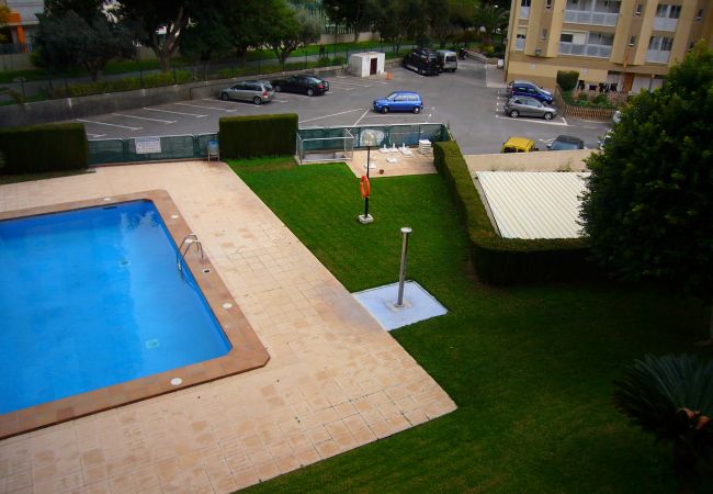 Appartamento a Benidorm - PARAISO ESPERANTO (1 CAMERA) Appartamento a Benidorm - PARAISO ESPERANTO (1 CAMERA)