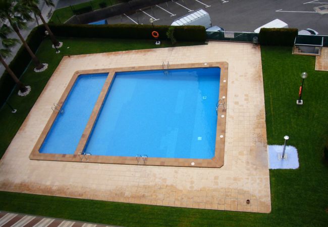 Appartamento a Benidorm - PARAISO ESPERANTO (1 CAMERA) Appartamento a Benidorm - PARAISO ESPERANTO (1 CAMERA)