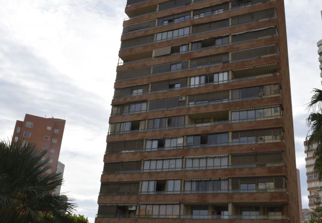 Appartamento a Benidorm - PARAISO ESPERANTO (1 CAMERA) Appartamento a Benidorm - PARAISO ESPERANTO (1 CAMERA)