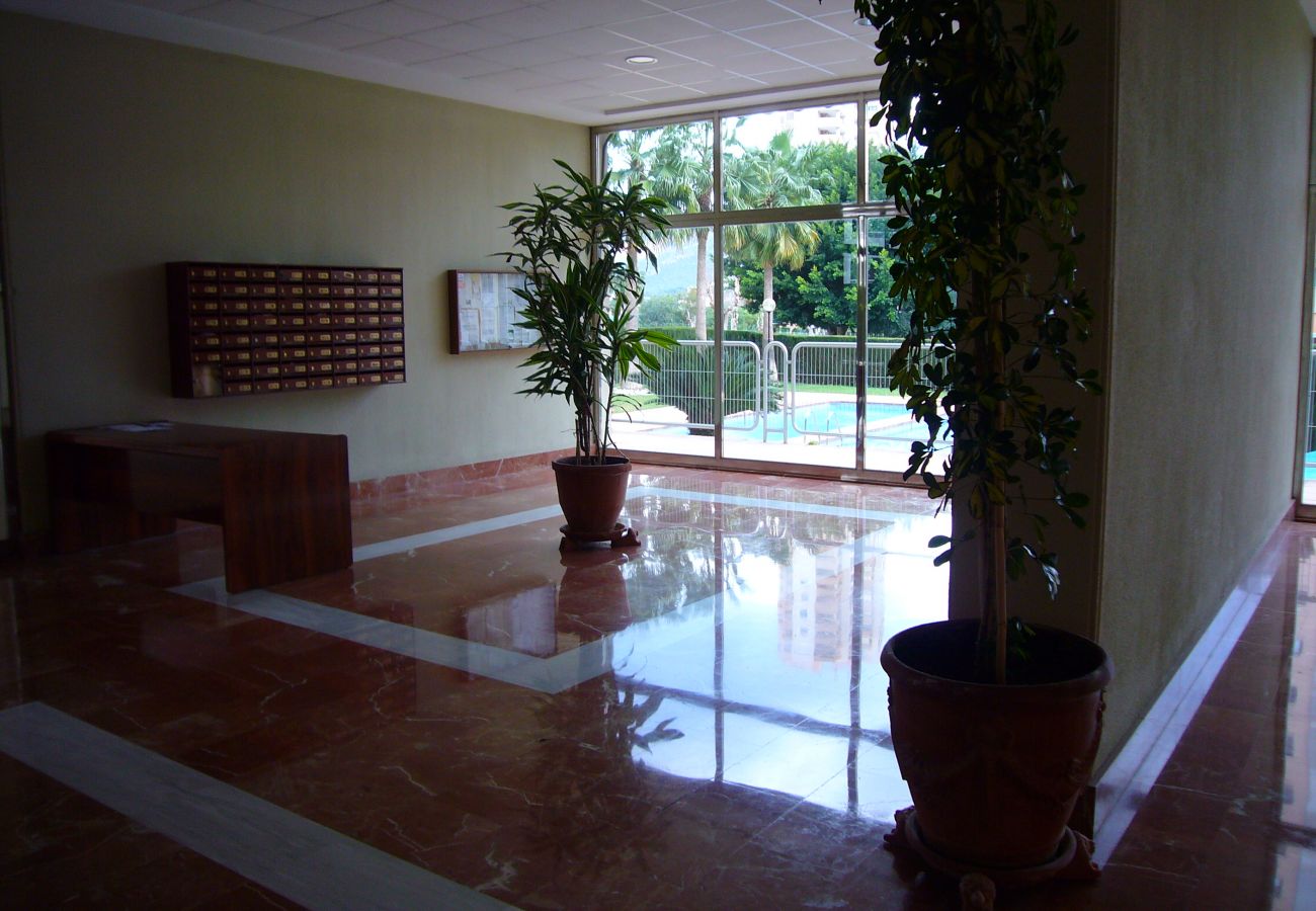Appartamento a Benidorm - PARAISO ESPERANTO (1 CAMERA)