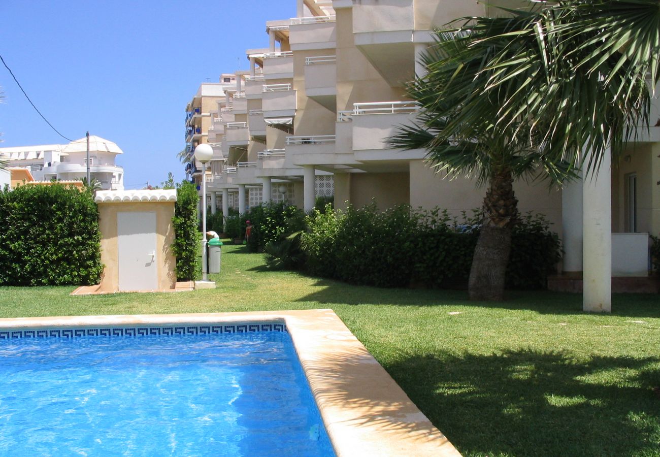 Appartamento a Denia - A 50 metros de la playa de Las Marinas -El Faro