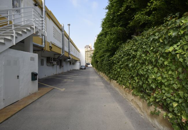 Appartamento a Benidorm - COMERCIAL LEPANTO (1 CAMERA) Appartamento a Benidorm - COMERCIAL LEPANTO (1 CAMERA)