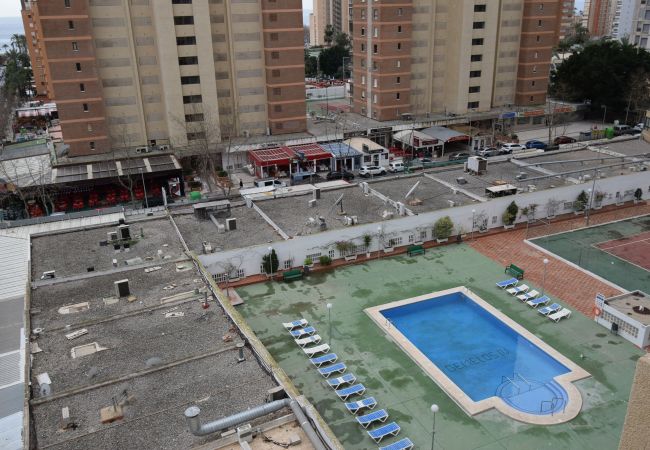 Appartamento a Benidorm - GEMELOS 4 (2 CAMERE) Appartamento a Benidorm - GEMELOS 4 (2 CAMERE)