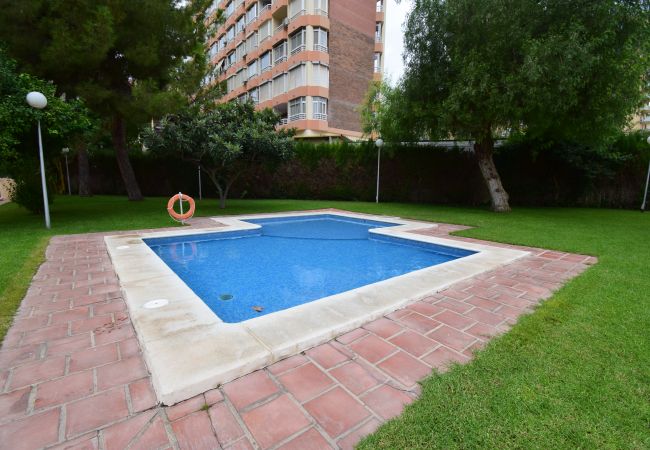 Appartamento a Benidorm - GEMELOS 4 (2 CAMERE) Appartamento a Benidorm - GEMELOS 4 (2 CAMERE)