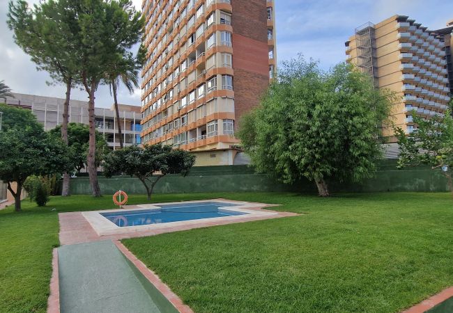 Appartamento a Benidorm - GEMELOS 4 (2 CAMERE) Appartamento a Benidorm - GEMELOS 4 (2 CAMERE)