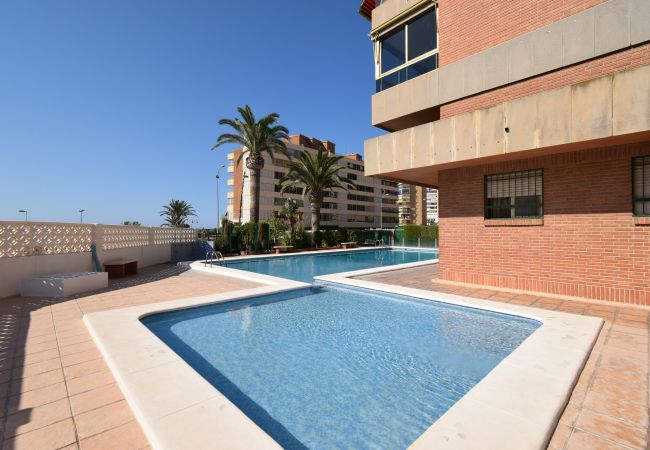 Appartamento a Benidorm - PRINCIPADO MARINA (3 CAMERE) Appartamento a Benidorm - PRINCIPADO MARINA (3 CAMERE)