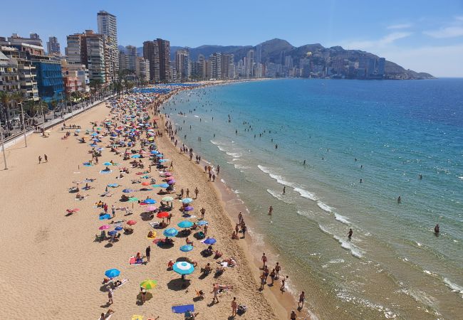 Appartamento a Benidorm - LUX CENTER (3 CAMERE)