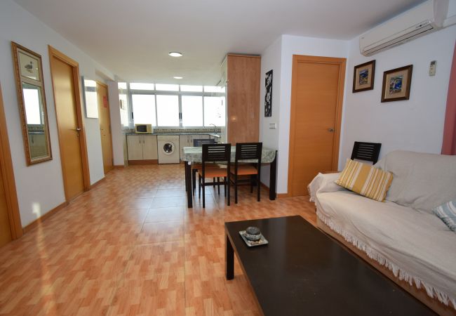 Appartamento a Benidorm - DON PACO  (2 CAMERE)