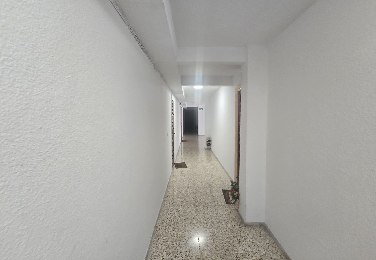 Studio a Benidorm - SERVIHOTEL (STUDIO)