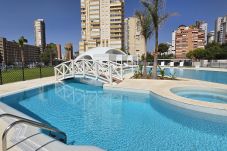 Appartamento a Benidorm - BENIDORM BEACH (2 CAMERE)